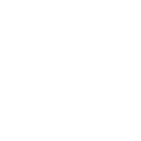 Professional Drivers